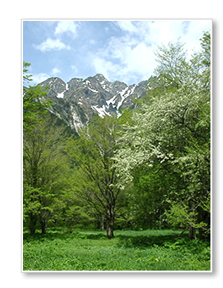 View from Tokusawa Lodge